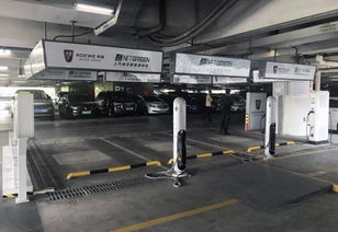 凱迪拉克車主專享 虹橋機(jī)場免費(fèi)停車服務(wù)讓出行更從容